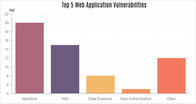 web vulnerabilities
